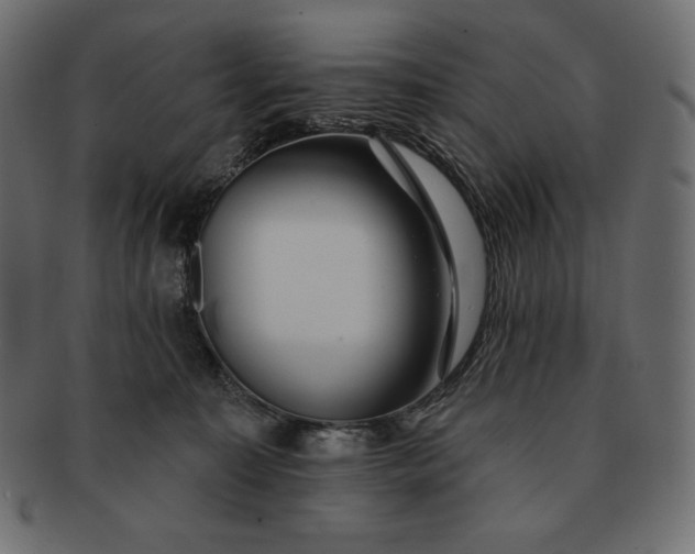 X0000091700323200709071355