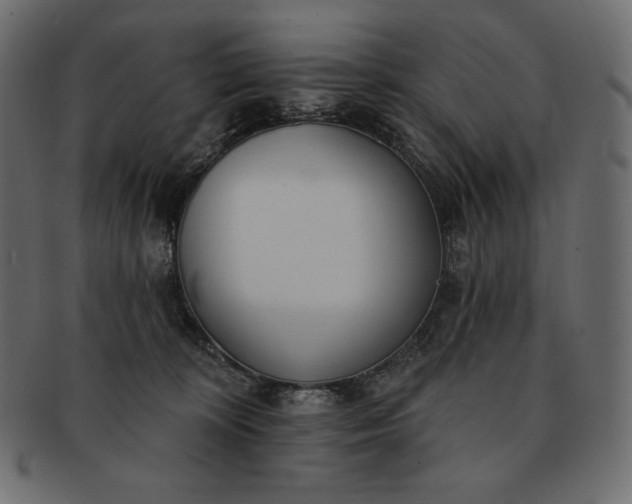 X0000091700324200709071355