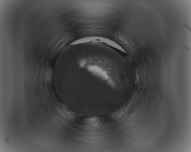 X0000091700325200709071354