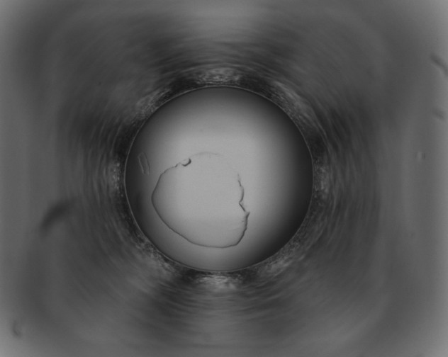 X0000091700326200709071354