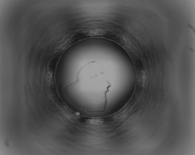 X0000091700327200709071354