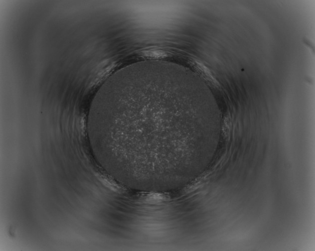 X0000091700330200709071354