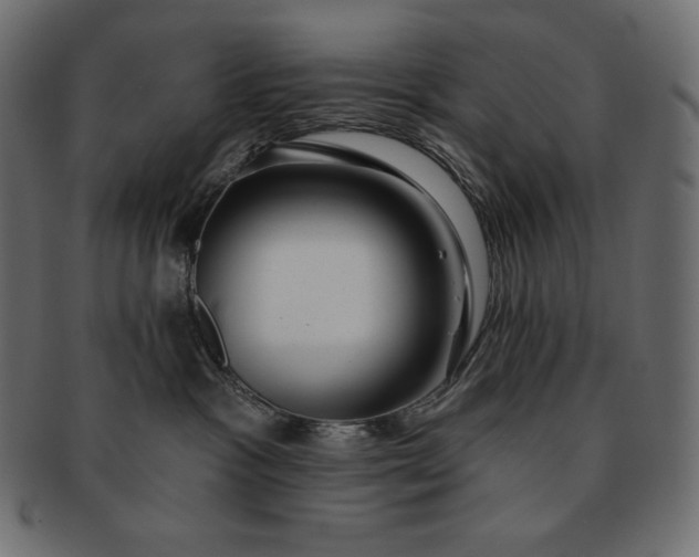 X0000091700333200709071354