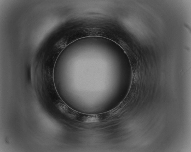 X0000091700335200709071354