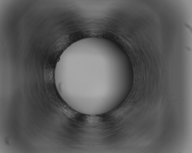 X0000091700336200709071354