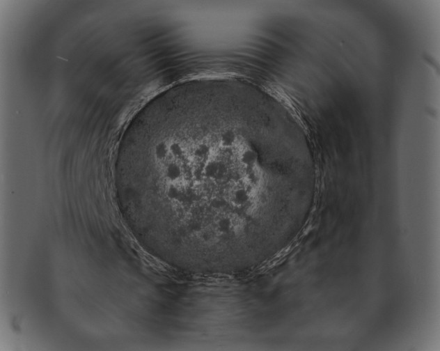 X0000091700337200709071354