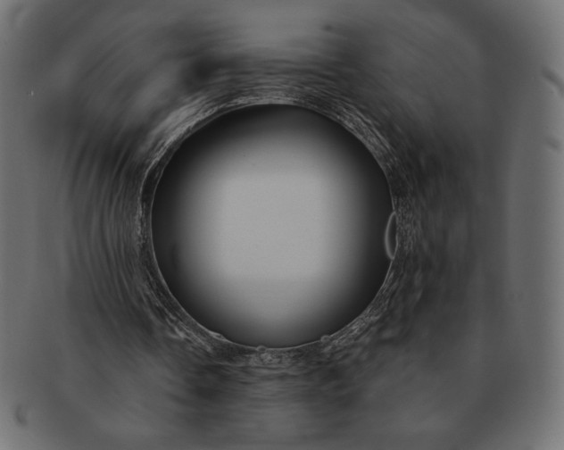 X0000091700338200709071354