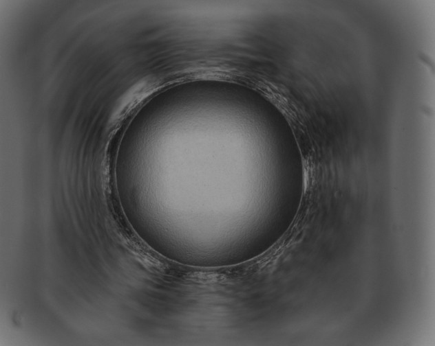 X0000091700339200709071354