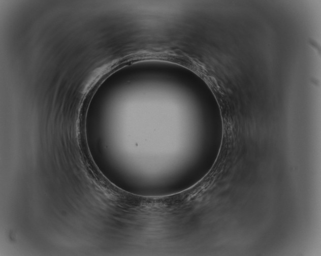 X0000091700340200709071354