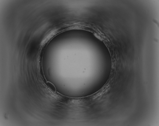 X0000091700341200709071354