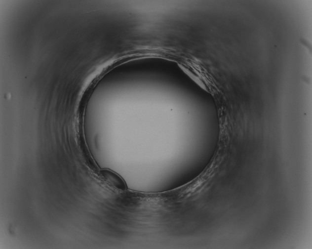 X0000091700342200709071354