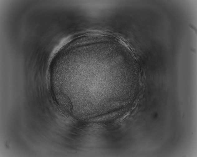 X0000091700343200709071354