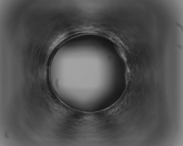 X0000091700344200709071354