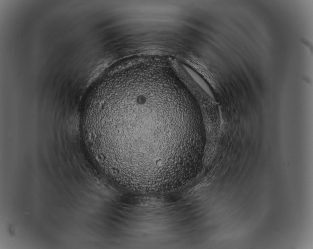 X0000091700347200709071354