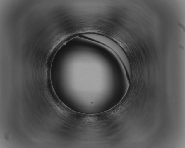 X0000091700350200709071354