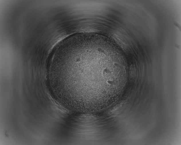 X0000091700351200709071354