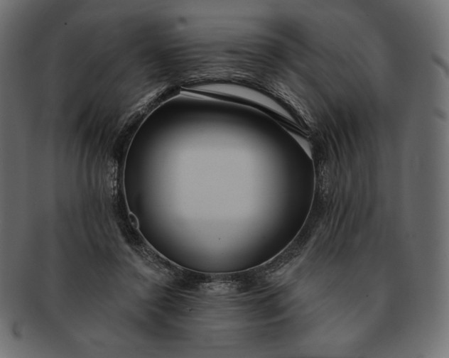 X0000091700356200709071354