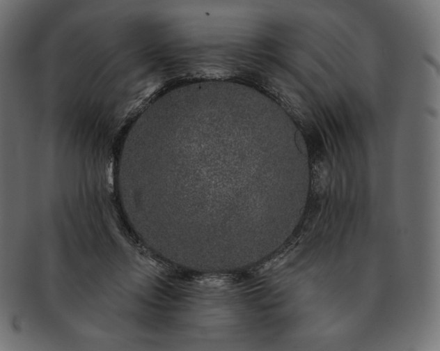 X0000091700358200709071354