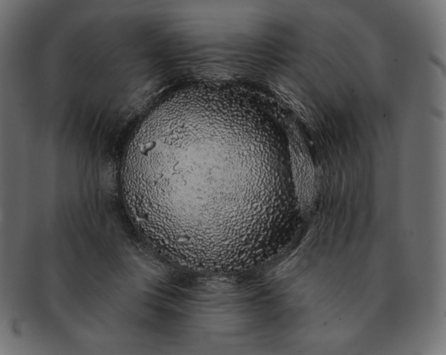 X0000091700359200709071354