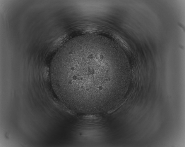 X0000091700361200709071354