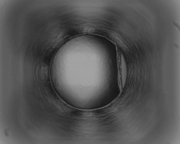 X0000091700363200709071354