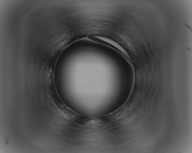 X0000091700364200709071354