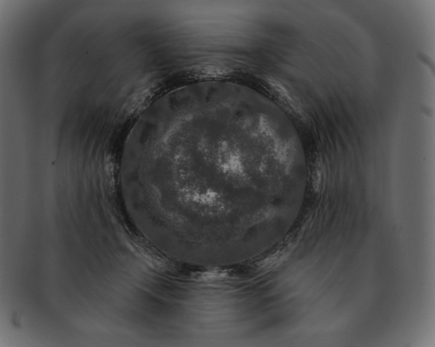 X0000091700366200709071354