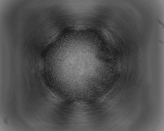 X0000091700367200709071354