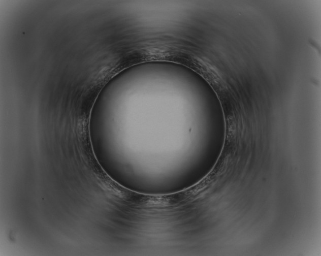 X0000091700369200709071354