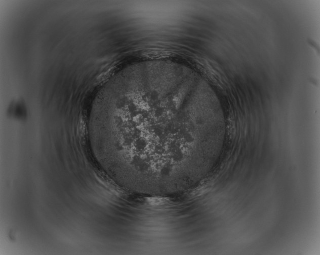 X0000091700371200709071354