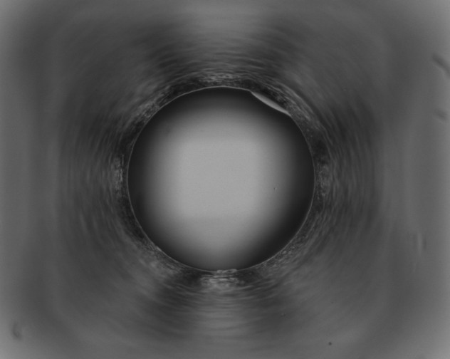 X0000091700372200709071354