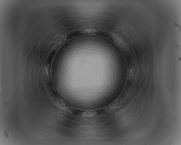 X0000091700373200709071354