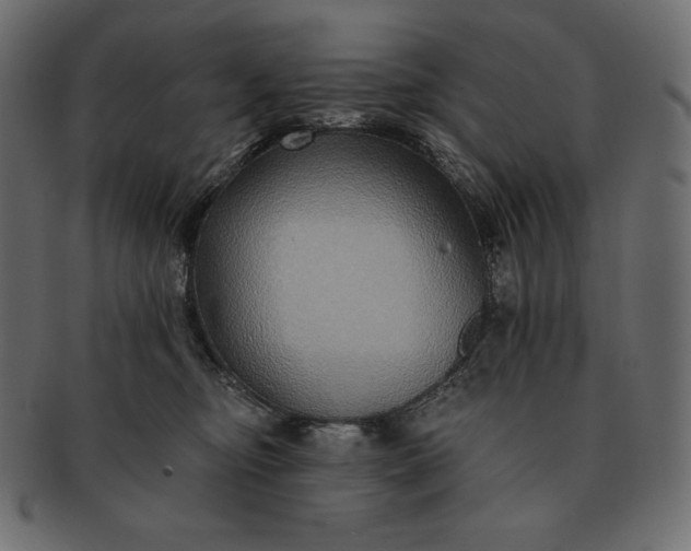 X0000091700374200709071354