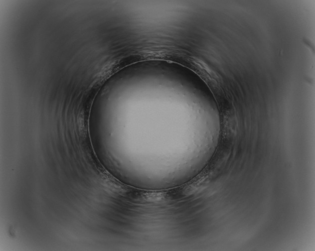 X0000091700377200709071354