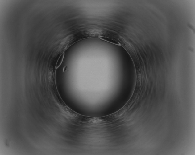 X0000091700379200709071354