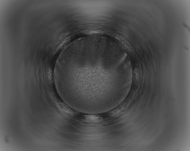 X0000091700380200709071354