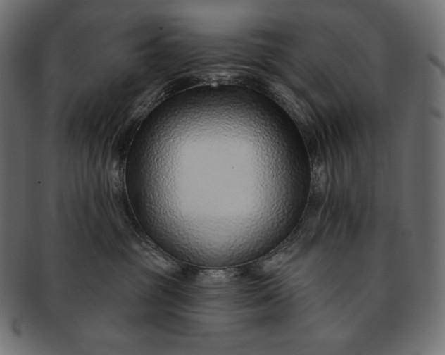 X0000091700381200709071354