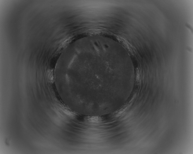 X0000091700383200709071354