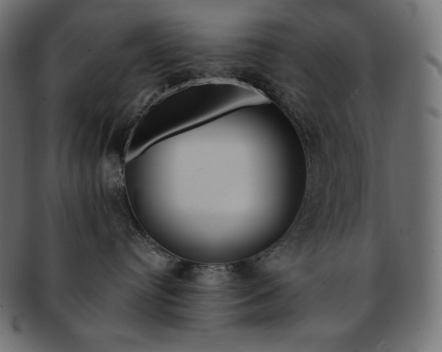 X0000091700384200709071354