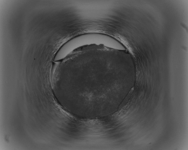 X0000091700385200709071354