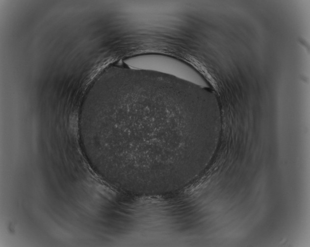 X0000091700386200709071354