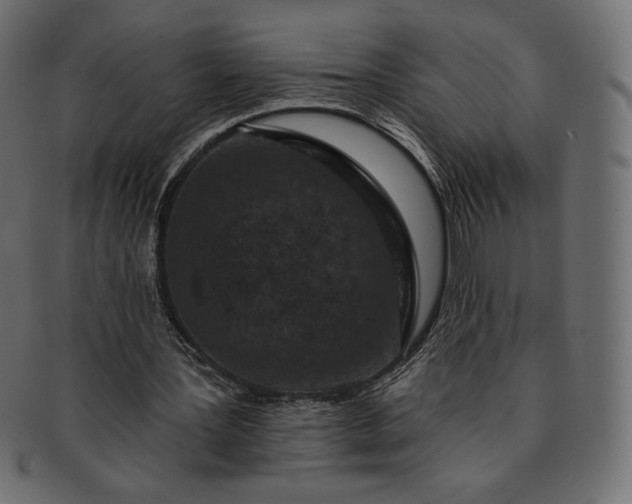 X0000091700387200709071354