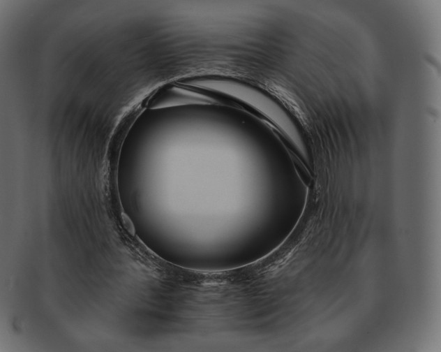 X0000091700388200709071354