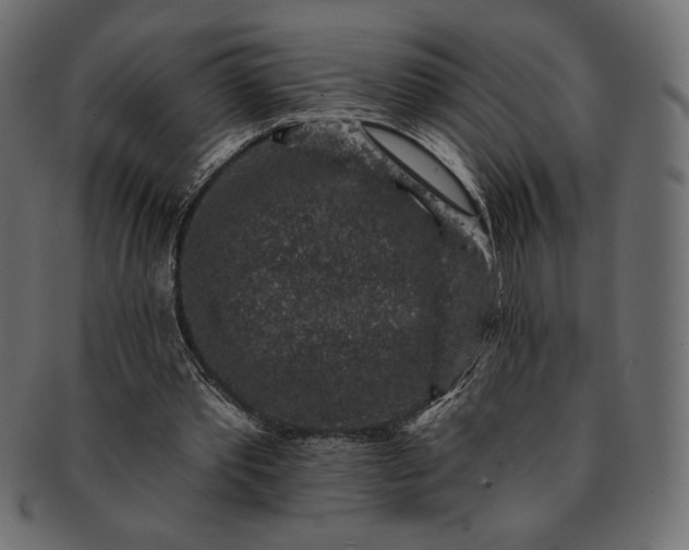 X0000091700389200709071354