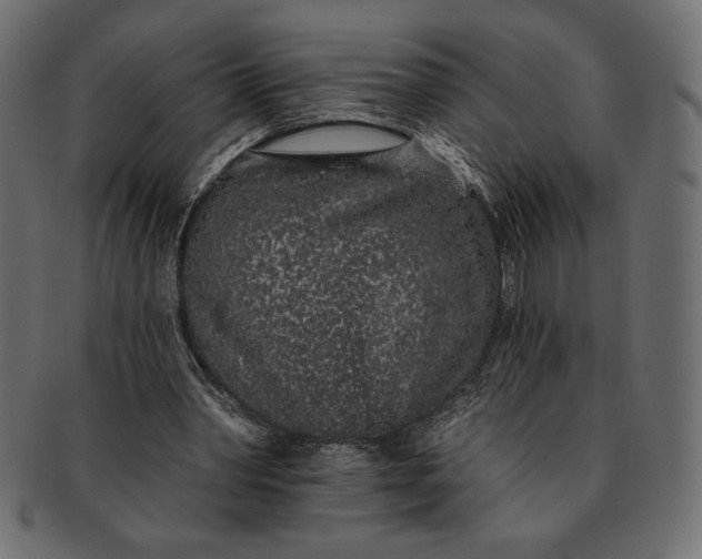 X0000091700390200709071354