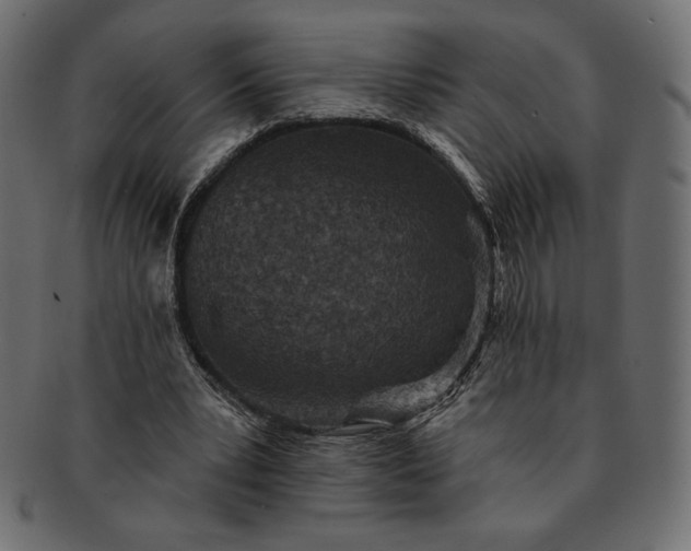 X0000091700391200709071354