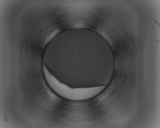 X0000091700393200709071354