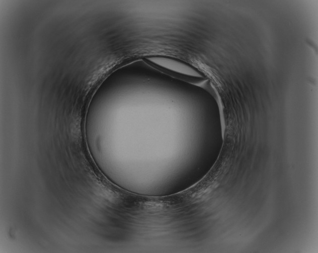 X0000091700394200709071354