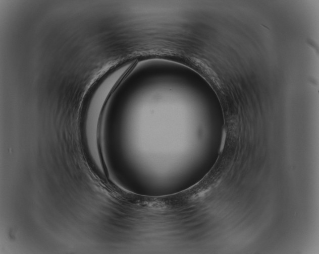 X0000091700395200709071354