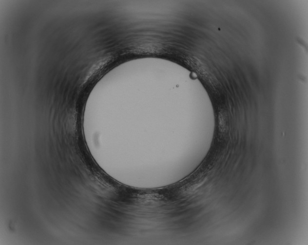 X0000091700396200709071354